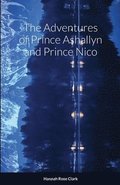 Adventures of Prince Ashallyn and Prince Nico