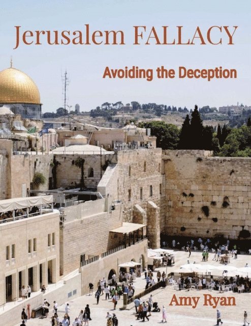 Amy Ryan - Jerusalem Fallacy, E-bok