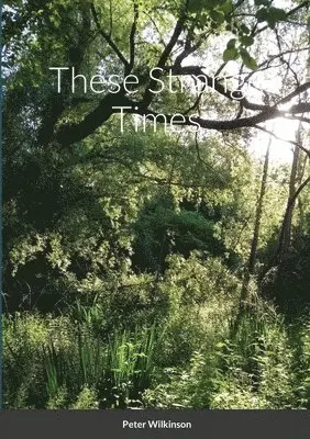 Peter Wilkinson - These Strange Times, Häftad. Tillgänglighet: Lägg i varukorg