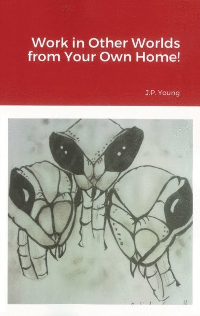 Work in Other Worlds from Your Own Home!