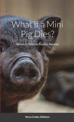 What if a Mini Pig Dies?
