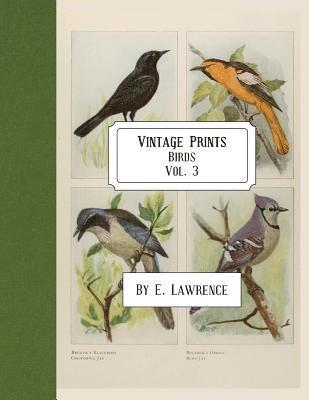 E. Lawrence - Vintage Prints: Birds: Vol. 3, Häftad. Tillgänglighet: Lägg i varukorg