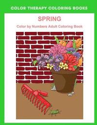 Spring Color By Numbers Adult Coloring Book: A Large Print and Easy Color by Number Adult Coloring Book of Spring Flowers, Birds, Butterflies, Bunnies
