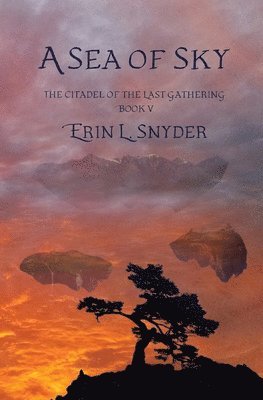 Erin L. Snyder - A Sea of Sky, Häftad. Tillgänglighet: Lägg i varukorg