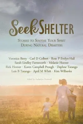 Veronica Berry, Carl D. Colbert - Seek Shelter: Stories to Soothe Your Spirit During Natural Disasters, Häftad. Tillgänglighet: Lägg i varukorg