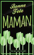 Bonne Fete Maman: Vert - Carte (fete des meres) mini livre d'or 'Pour que ce jour compte' (12,7x20cm)