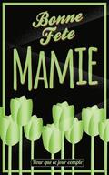 Bonne Fete Mamie: Vert - Carte (fete des grands-meres) mini livre d'or 'Pour que ce jour compte' (12,7x20cm)
