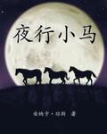 The Night Horses in Simplified Chinese