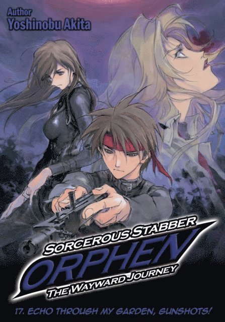 Yoshinobu Akita - Sorcerous Stabber Orphen: The Wayward Journey Volume 17, E-bok