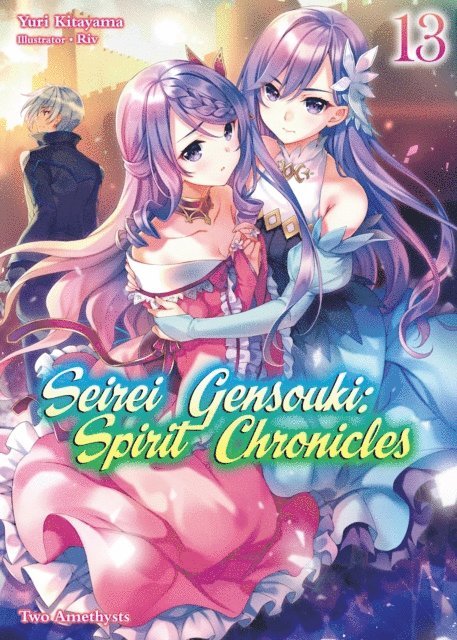 Yuri Kitayama - Seirei Gensouki: Spirit Chronicles Volume 13, E-bok