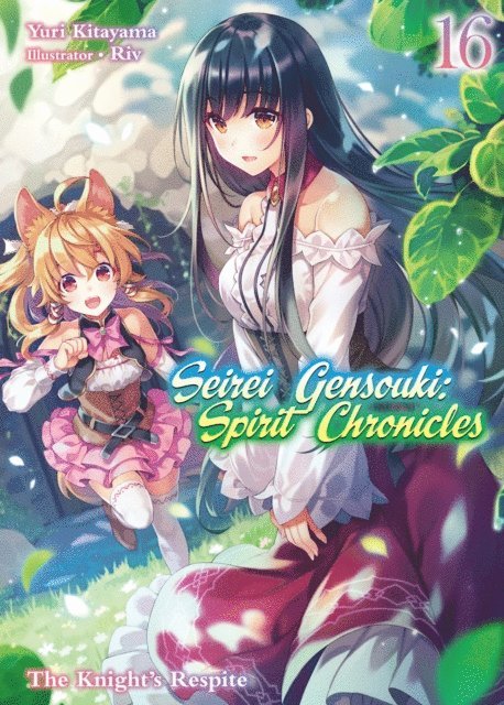 Yuri Kitayama - Seirei Gensouki: Spirit Chronicles Volume 16, E-bok