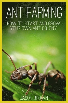 Jason Brown - Ant Farming: How to Start and Grow Your Own Ant Colony, Häftad. Tillgänglighet: Lägg i varukorg