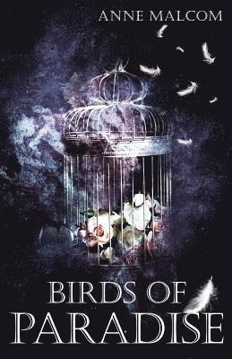 Anne Malcom - Birds of Paradise, Häftad