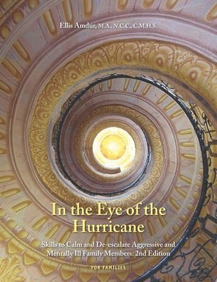 Ellis Amdur - In the Eye of the Hurricane, Häftad