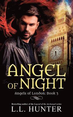 L L Hunter, Rogena Mitchell Jones - Angel of Night, Häftad. Tillgänglighet: Lägg i varukorg