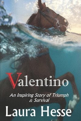 Laura Hesse - Valentino, Häftad