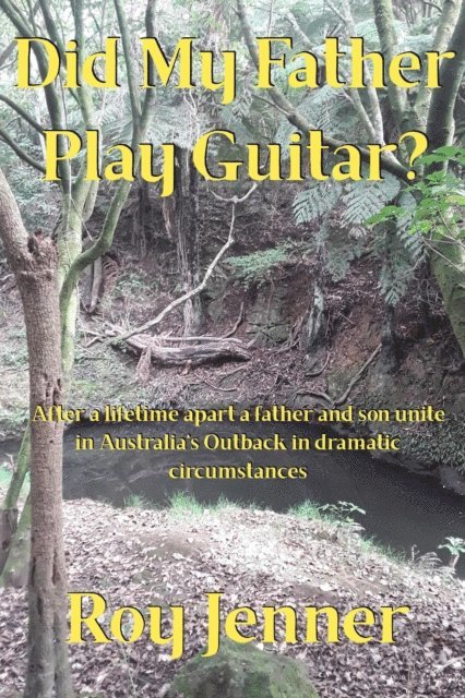 Roy Jenner - Did My Father Play Guitar?, E-bok. Tillgänglighet: Lägg i varukorg