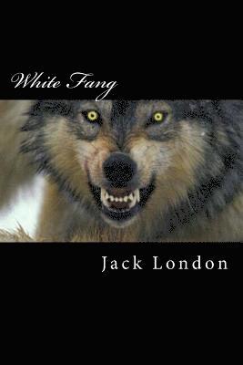 Jack London, Maanto - White Fang, Häftad. Tillgänglighet: Lägg i varukorg