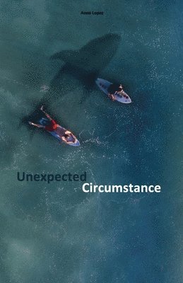 Anna Lopez - Unexpected Circumstance, Häftad