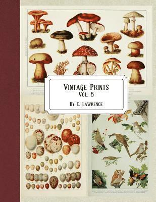 E. Lawrence - Vintage Prints: Vol. 5, Häftad. Tillgänglighet: Lägg i varukorg