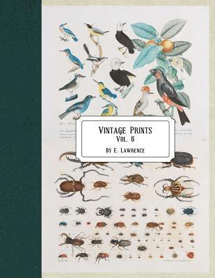 E. Lawrence - Vintage Prints: Vol. 6, Häftad. Tillgänglighet: Lägg i varukorg
