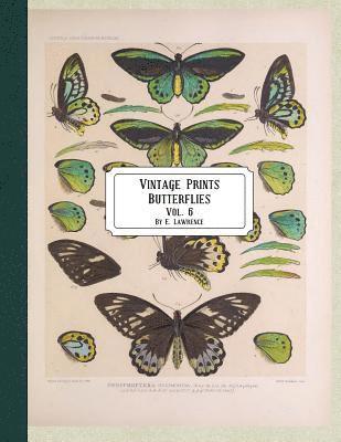 E. Lawrence - Vintage Prints: Butterflies: Vol. 3, Häftad. Tillgänglighet: Lägg i varukorg