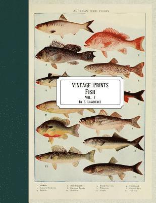 E. Lawrence - Vintage Prints: Fish: Vol. 1, Häftad. Tillgänglighet: Lägg i varukorg