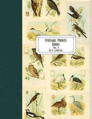 E. Lawrence - Vintage Prints: Birds: Vol. 5, Häftad. Tillgänglighet: Lägg i varukorg