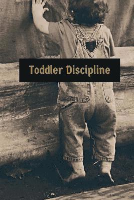 Danielle Taylor - Toddler Discipline, Häftad