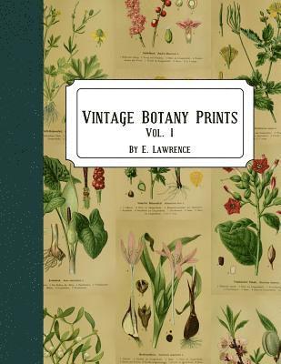E. Lawrence - Vintage Botany Prints: Vol. 1, Häftad. Tillgänglighet: Lägg i varukorg