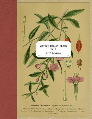 E. Lawrence - Vintage Botany Prints: Vol. 2, Häftad. Tillgänglighet: Lägg i varukorg