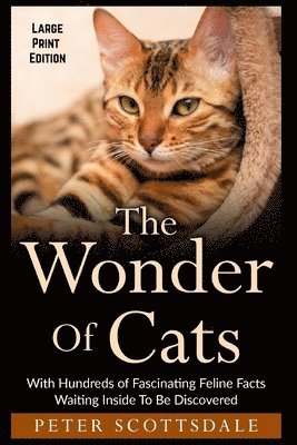 Peter Scottsdale - Wonder Of Cats Large Print Edition, Häftad. Tillgänglighet: Lägg i varukorg
