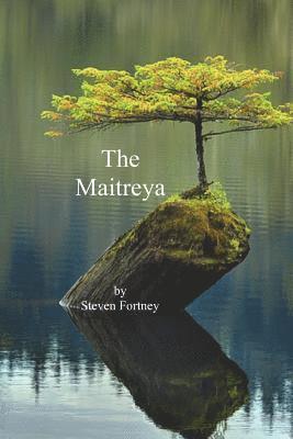 Steven Fortney - The Maitreya, Häftad