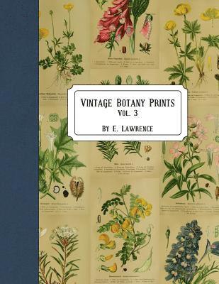 E. Lawrence - Vintage Botany Prints: Vol. 3, Häftad. Tillgänglighet: Lägg i varukorg