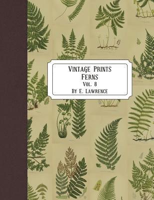 E. Lawrence - Vintage Prints: Ferns: Vol. 8, Häftad. Tillgänglighet: Lägg i varukorg