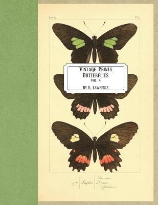 E. Lawrence - Vintage Prints: Butterflies: Vol. 4, Häftad. Tillgänglighet: Lägg i varukorg
