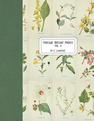 E. Lawrence - Vintage Botany Prints: Vol. 4, Häftad. Tillgänglighet: Lägg i varukorg