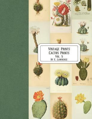 E. Lawrence - Vintage Prints: Cactus Prints: Vol. 5, Häftad. Tillgänglighet: Lägg i varukorg