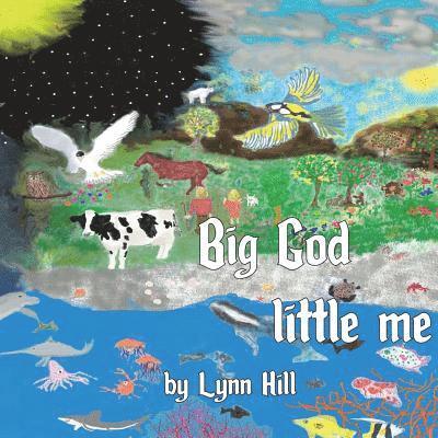Lynn Hill - Big God little me, Häftad