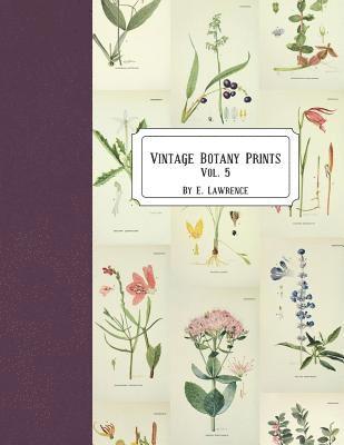 E. Lawrence - Vintage Botany Prints: Vol. 5, Häftad. Tillgänglighet: Lägg i varukorg