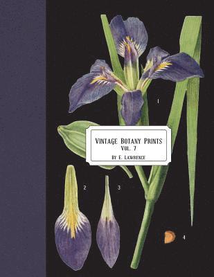 E. Lawrence - Vintage Botany Prints: Vol.7, Häftad. Tillgänglighet: Lägg i varukorg