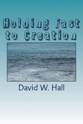 David W Hall - Holding Fast to Creation, Häftad. Tillgänglighet: Lägg i varukorg