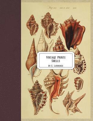 E. Lawrence - Vintage Prints: Shells, Häftad. Tillgänglighet: Lägg i varukorg