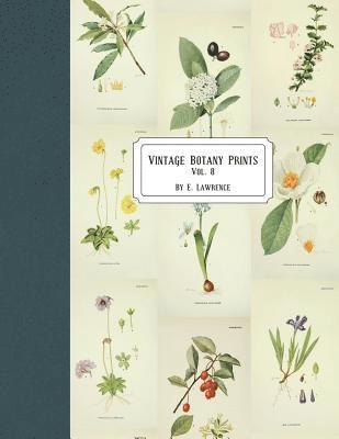 E. Lawrence - Vintage Botany Prints: Vol. 8, Häftad. Tillgänglighet: Lägg i varukorg