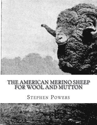 Stephen Powers - The American Merino Sheep For Wool and Mutton: The Selection, Care, Breeding and Diseases of the Merino Sheep, Häftad. Tillgänglighet: Lägg i varukorg