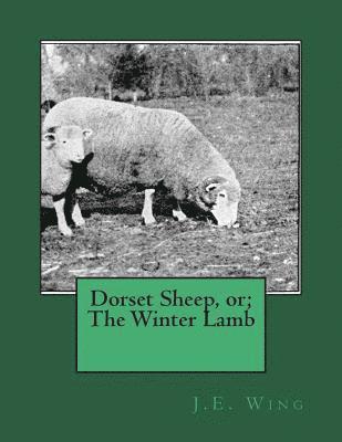 J. E. Wing - Dorset Sheep, or; The Winter Lamb, Häftad. Tillgänglighet: Lägg i varukorg