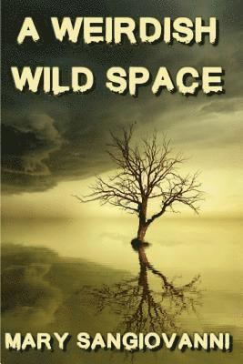 Mary Sangiovanni - A Weirdish Wild Space, Häftad