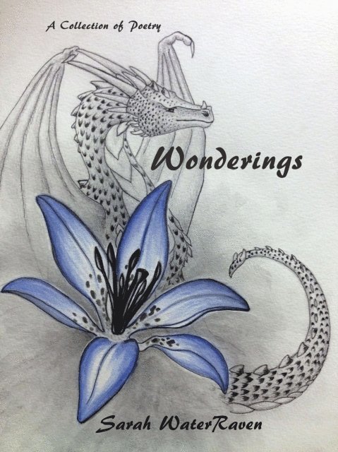 Sarah Waterraven - Wonderings, Häftad
