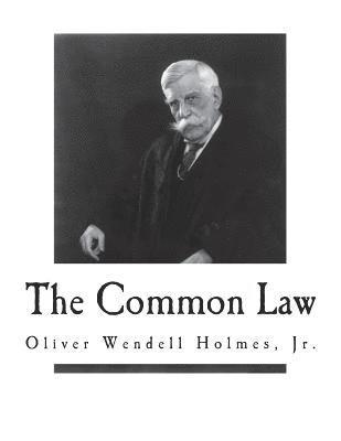 Oliver Wendell Holmes Jr - The Common Law, Häftad. Tillgänglighet: Lägg i varukorg