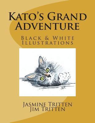 Jim Tritten - Kato's Grand Adventure (B&W Illustrations), Häftad. Tillgänglighet: Lägg i varukorg